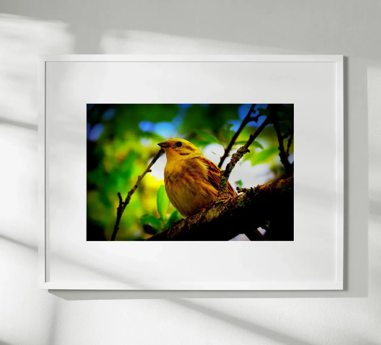 FAA72 poster da Thierry vobmann photography