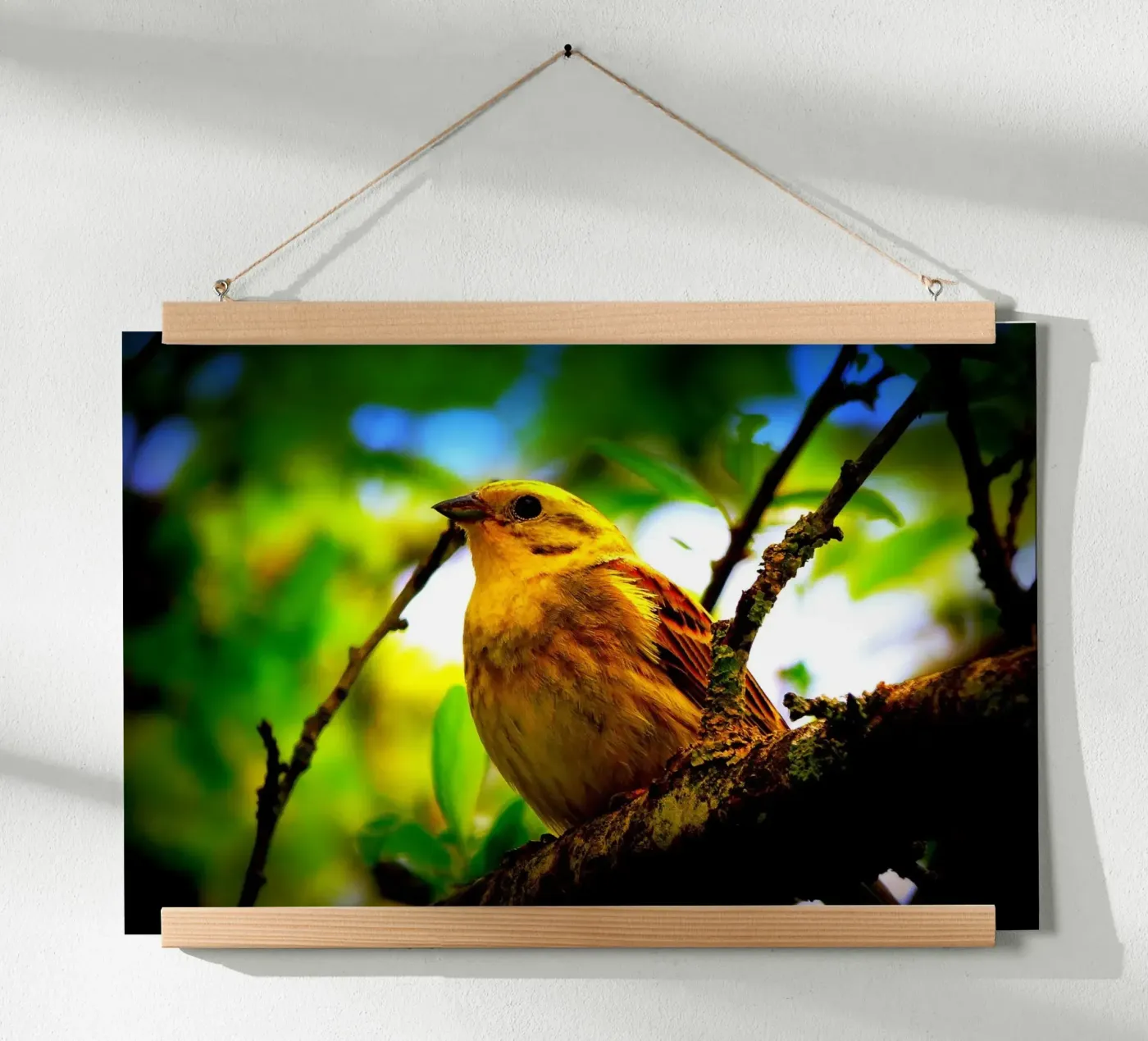 FAA72 Poster von Thierry vobmann photography