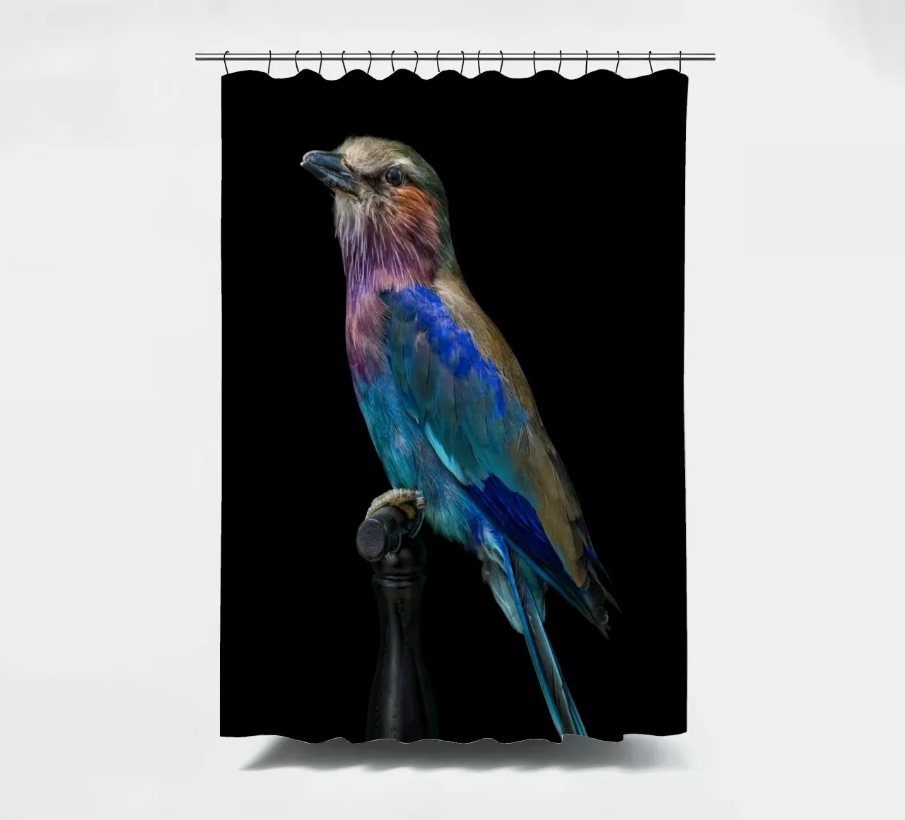 Beautifull bird shower curtain by Curious Collections by Marielle Leenders