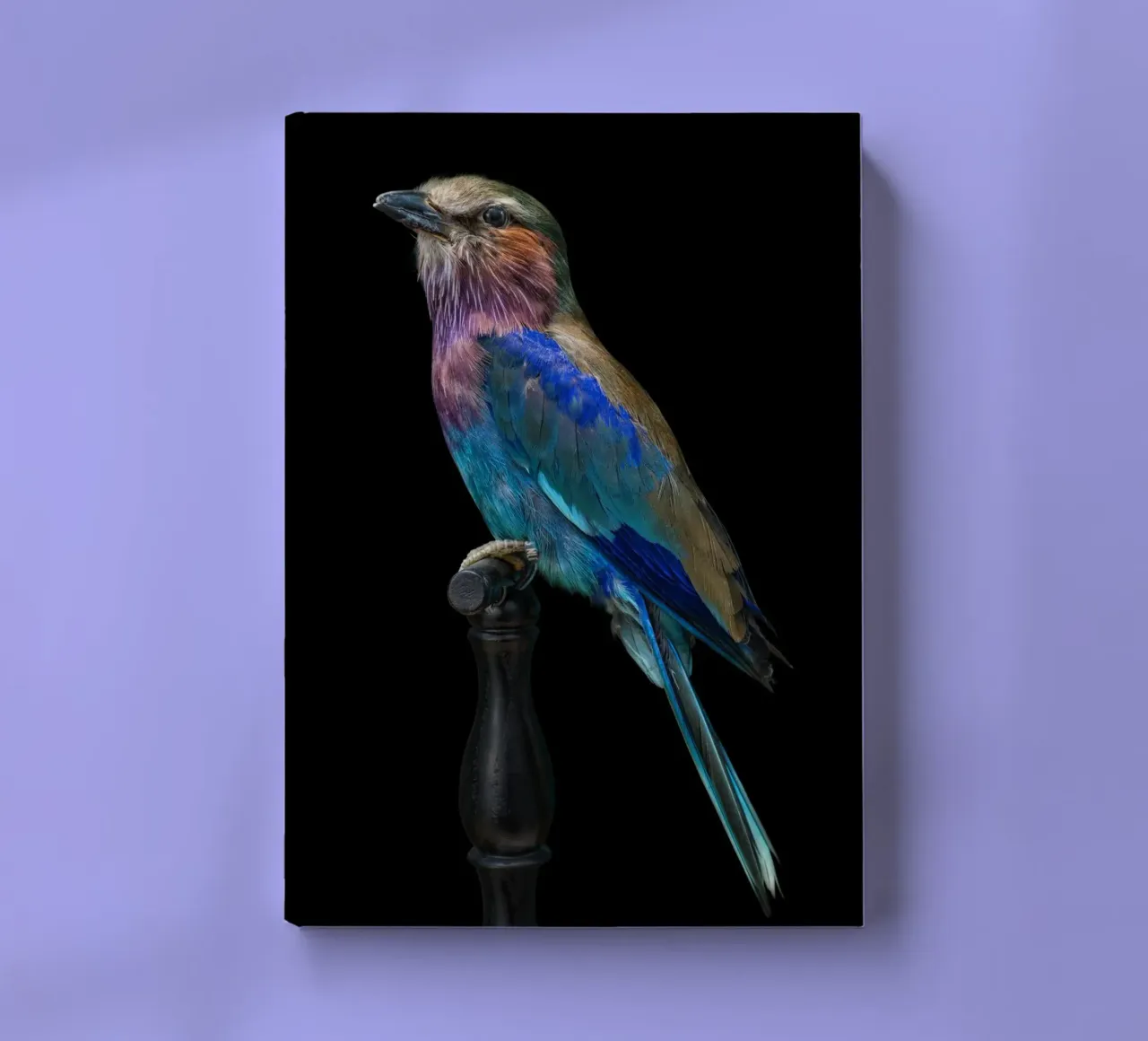 Beautifull bird notebook by Curious Collections by Marielle Leenders