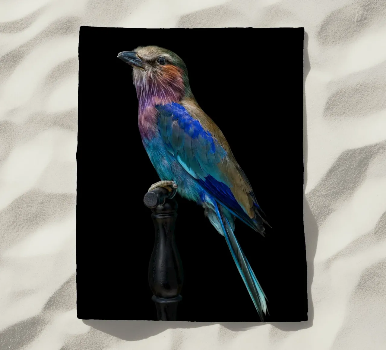 Bellissimo uccello telo mare da Curious Collections by Marielle Leenders