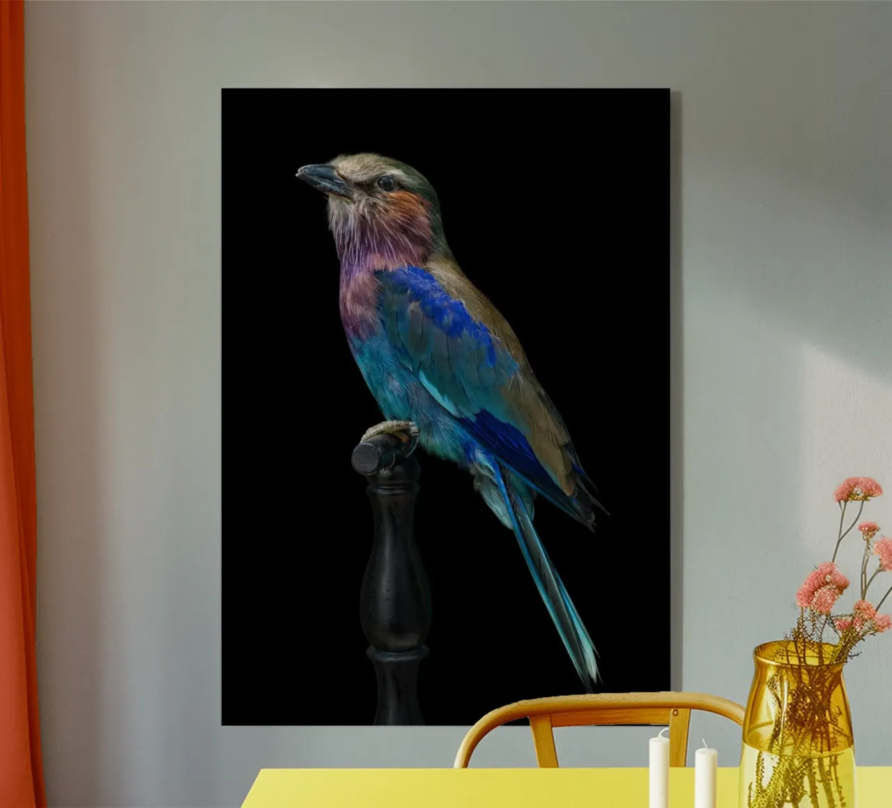 Bellissimo uccello plexiglass da Curious Collections by Marielle Leenders