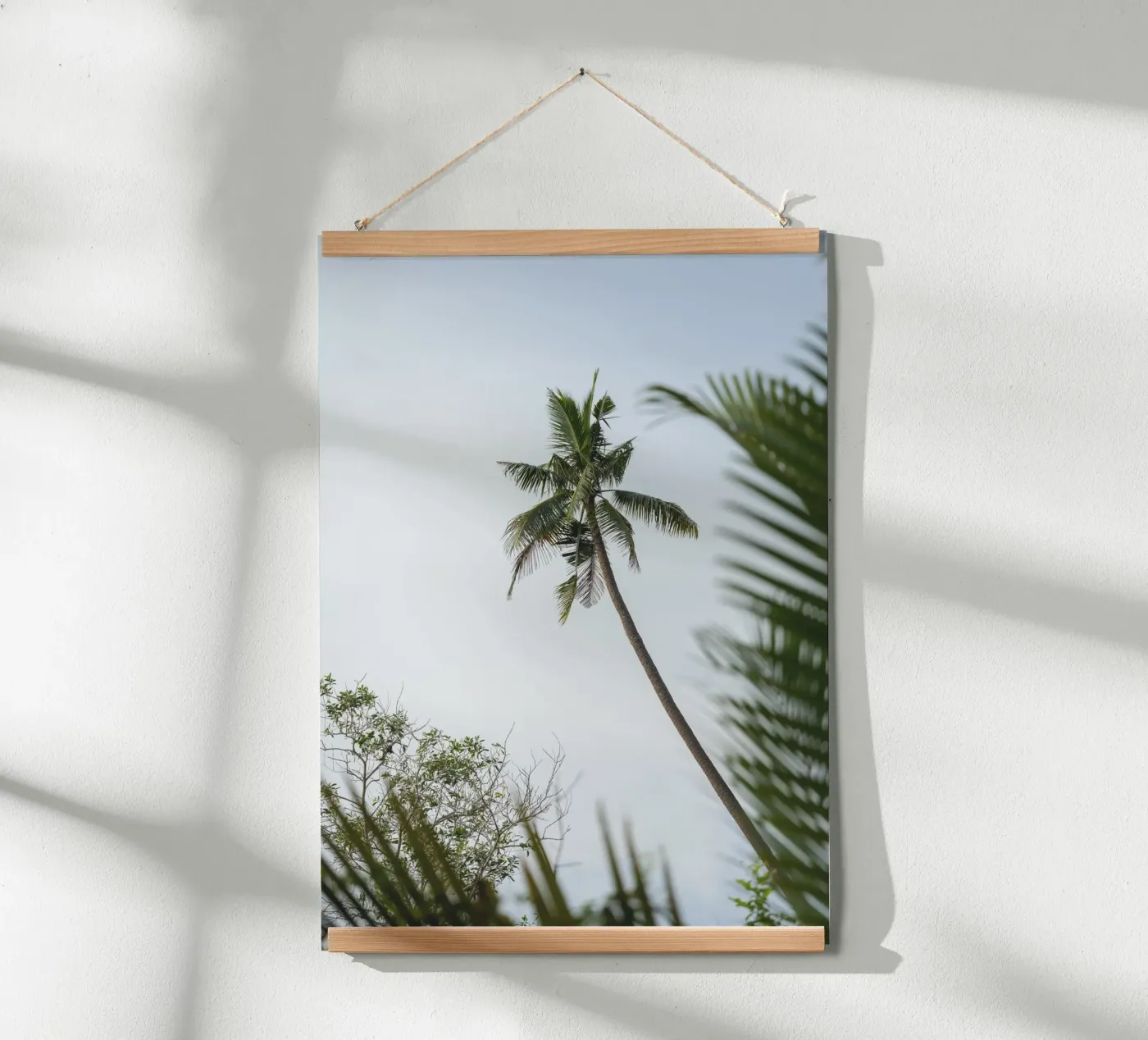 Palm poster da rahelrothphotography