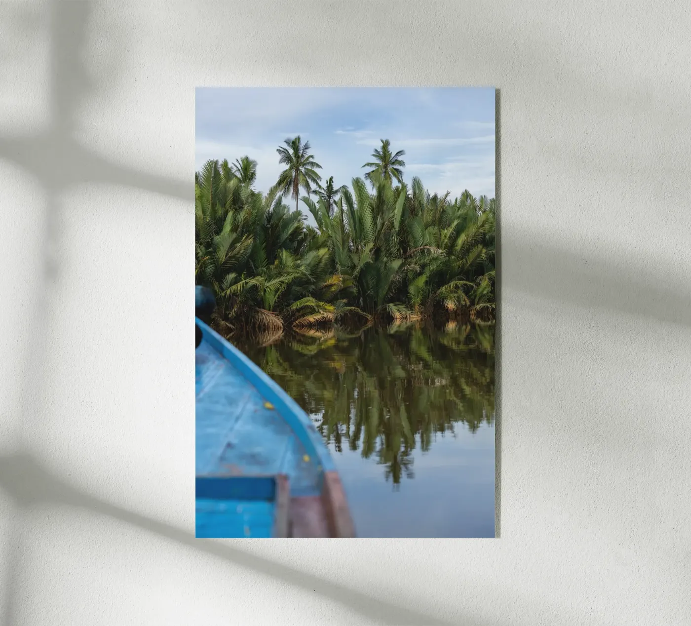 Borneo plexiglass da rahelrothphotography