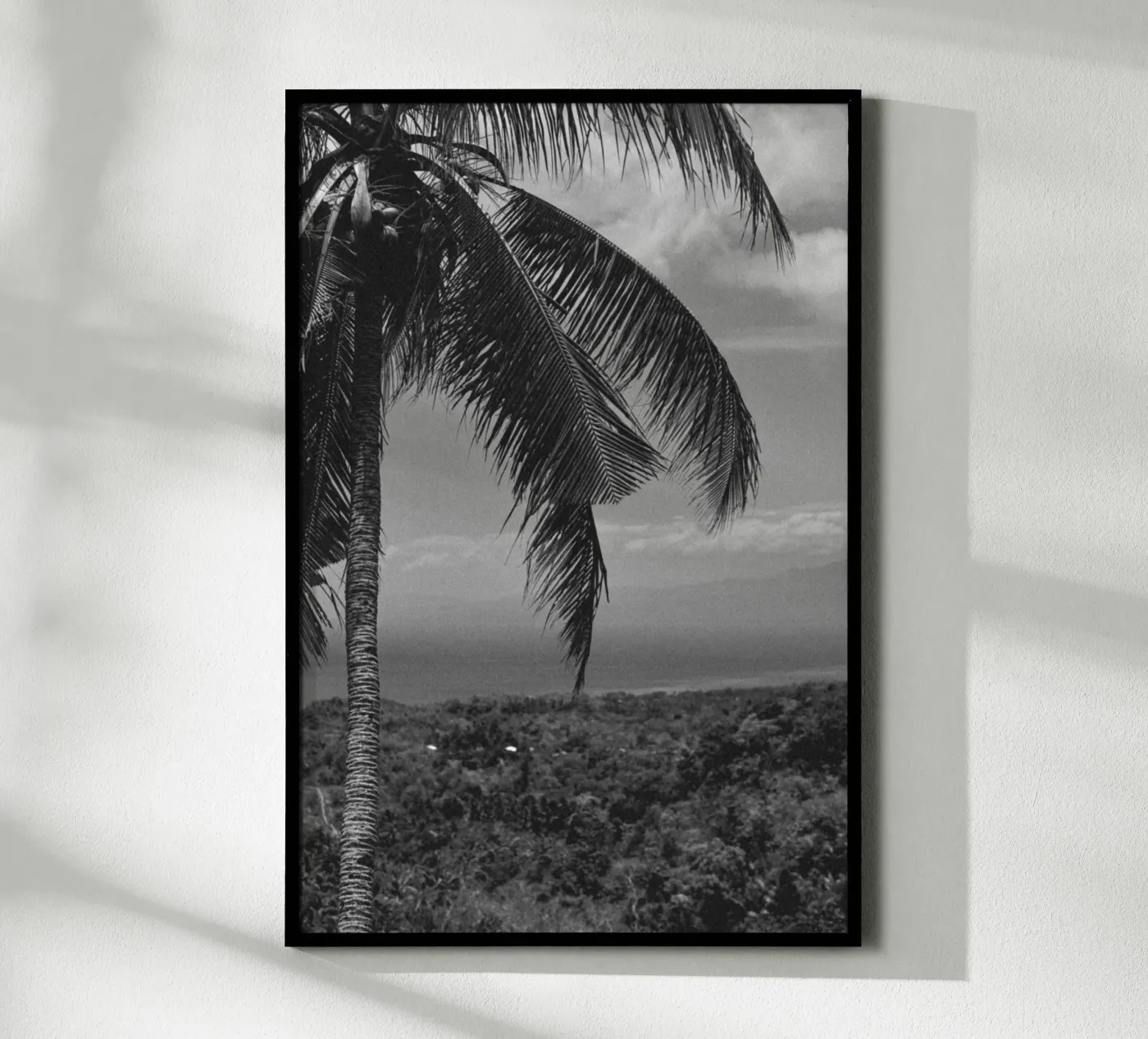 Palm lines poster da rahelrothphotography