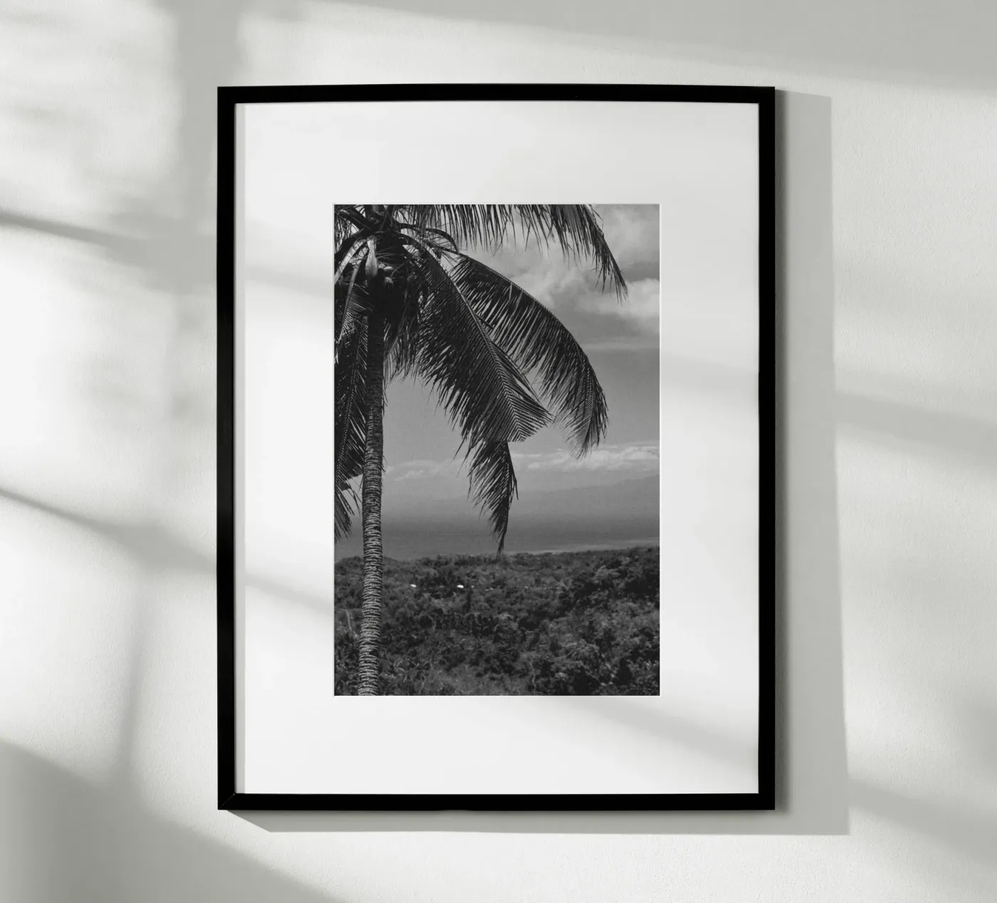 Palm lines poster da rahelrothphotography
