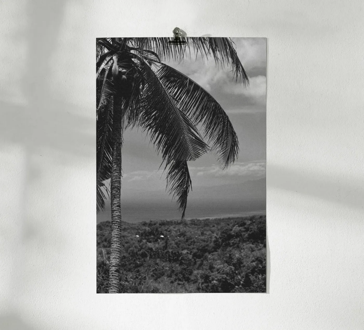 Palm lines poster da rahelrothphotography