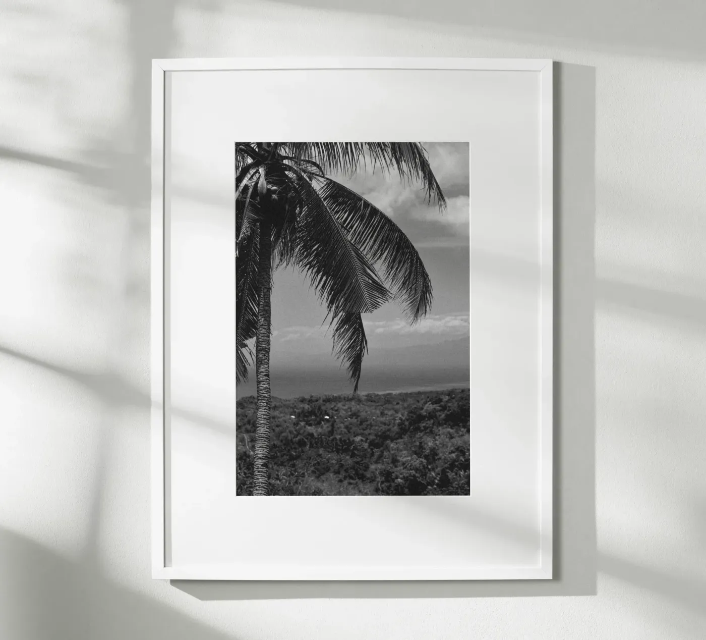 Palm lines poster da rahelrothphotography