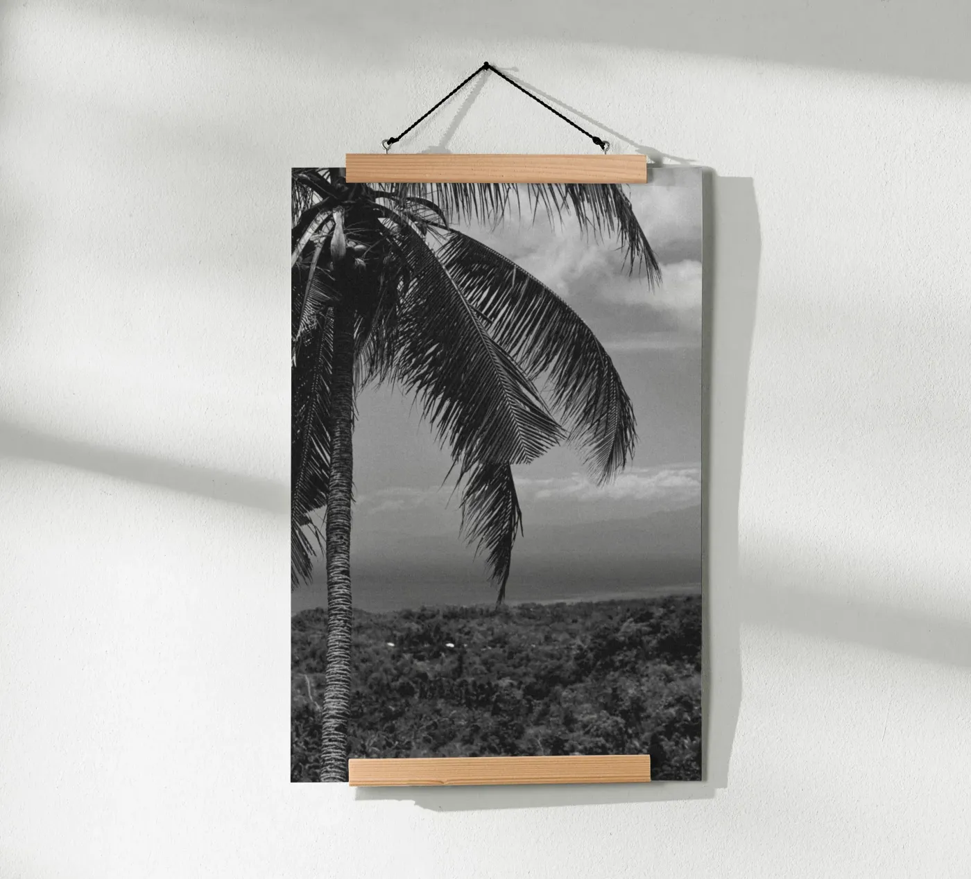 Palm lines poster da rahelrothphotography