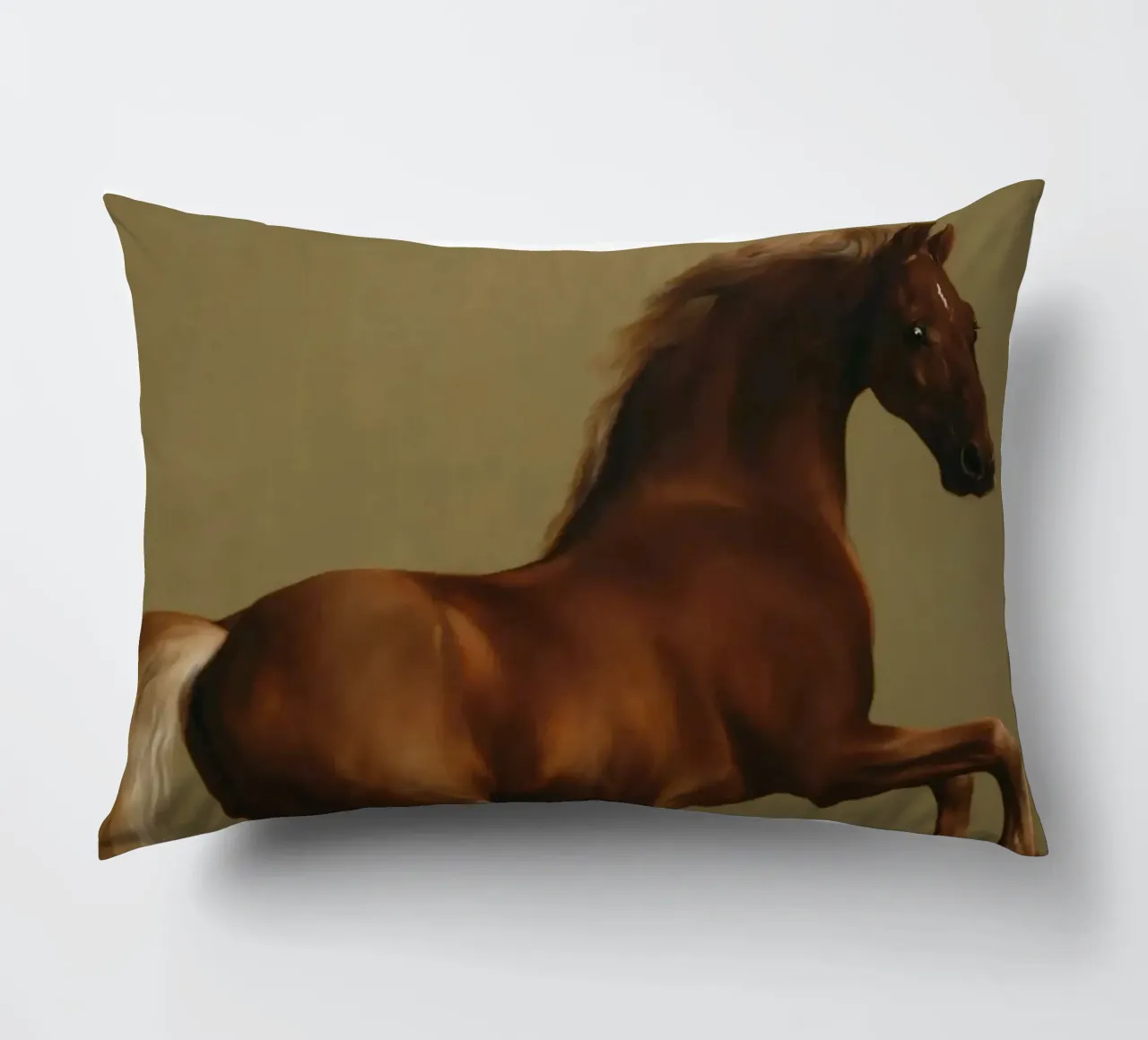 George Stubbs - Whistlejacket cuscino da ARTOTHEK
