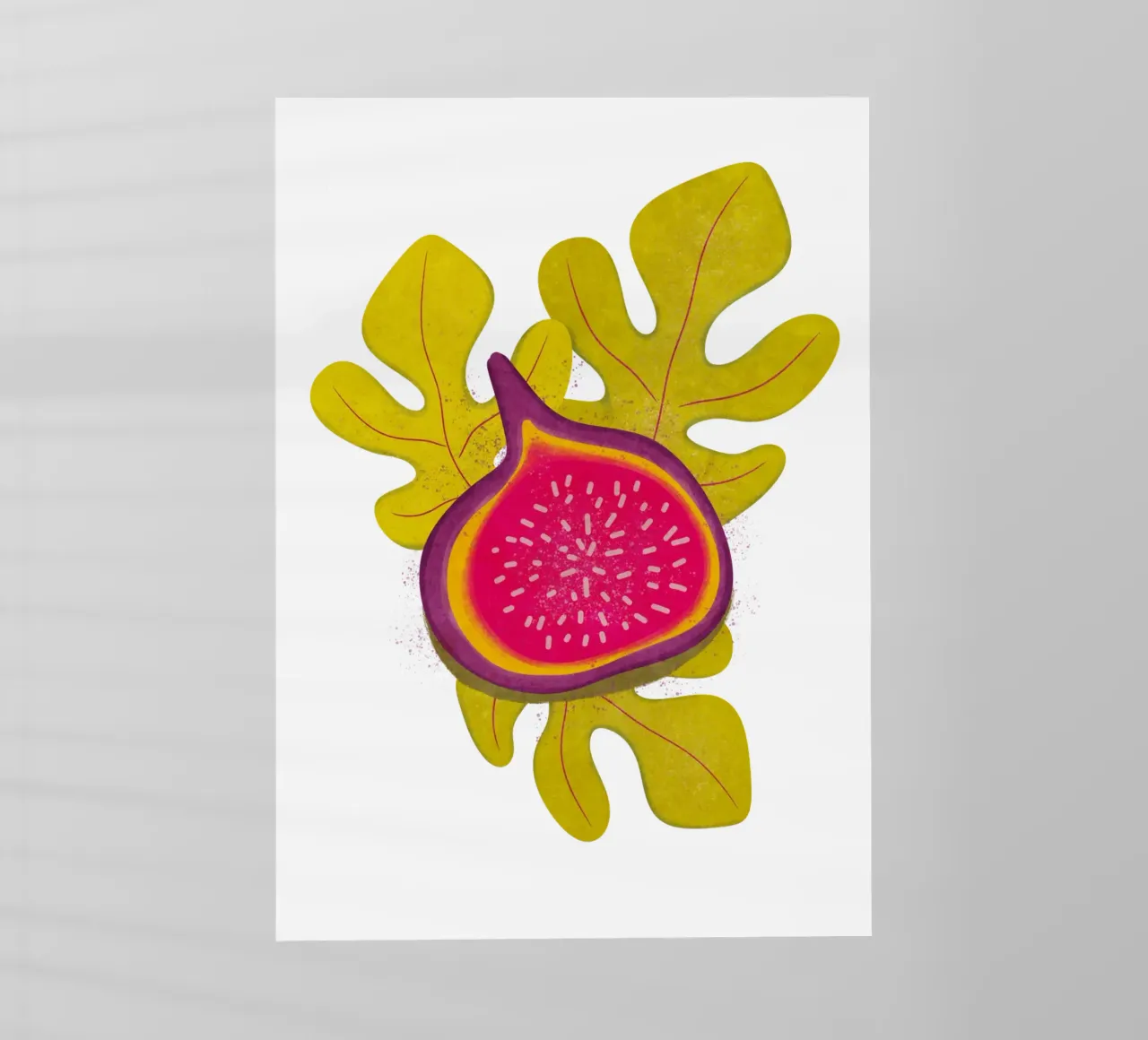 semplice Fig pellicola backlit da Illustration Raissa Oltmanns