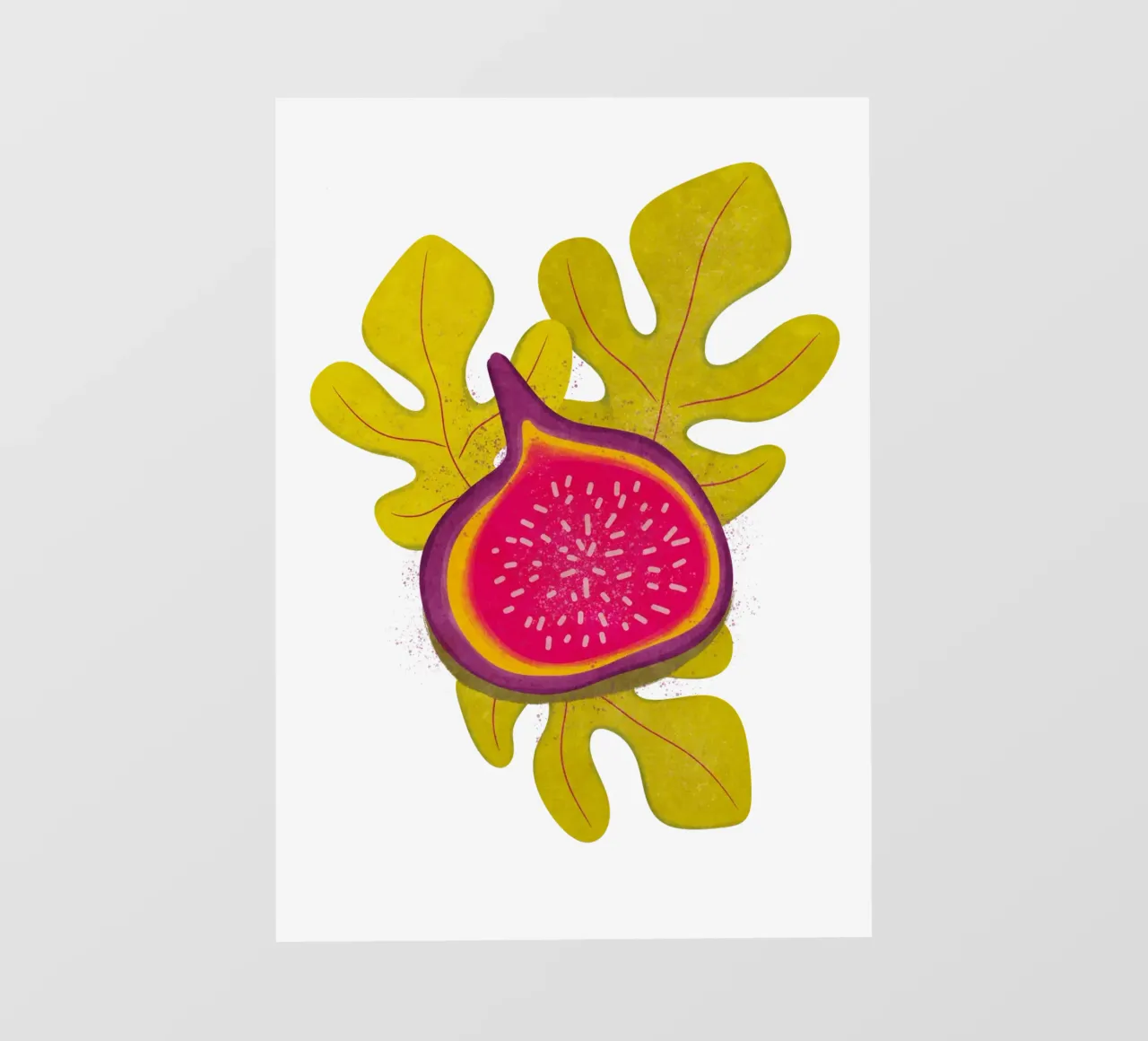 semplice Fig pellicola backlit da Illustration Raissa Oltmanns