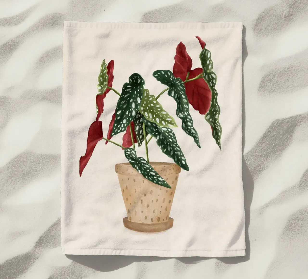Monika Szczerbinska - Begonia Magulata telo mare da The Artcircle