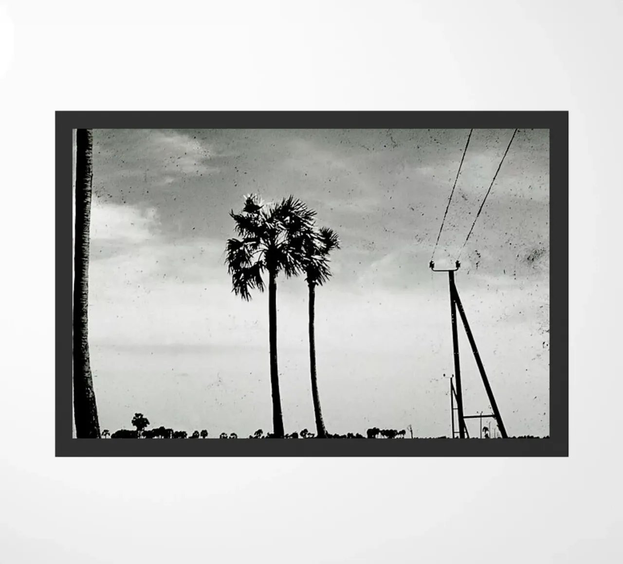 Far Away zerbino da Sophie Etchart