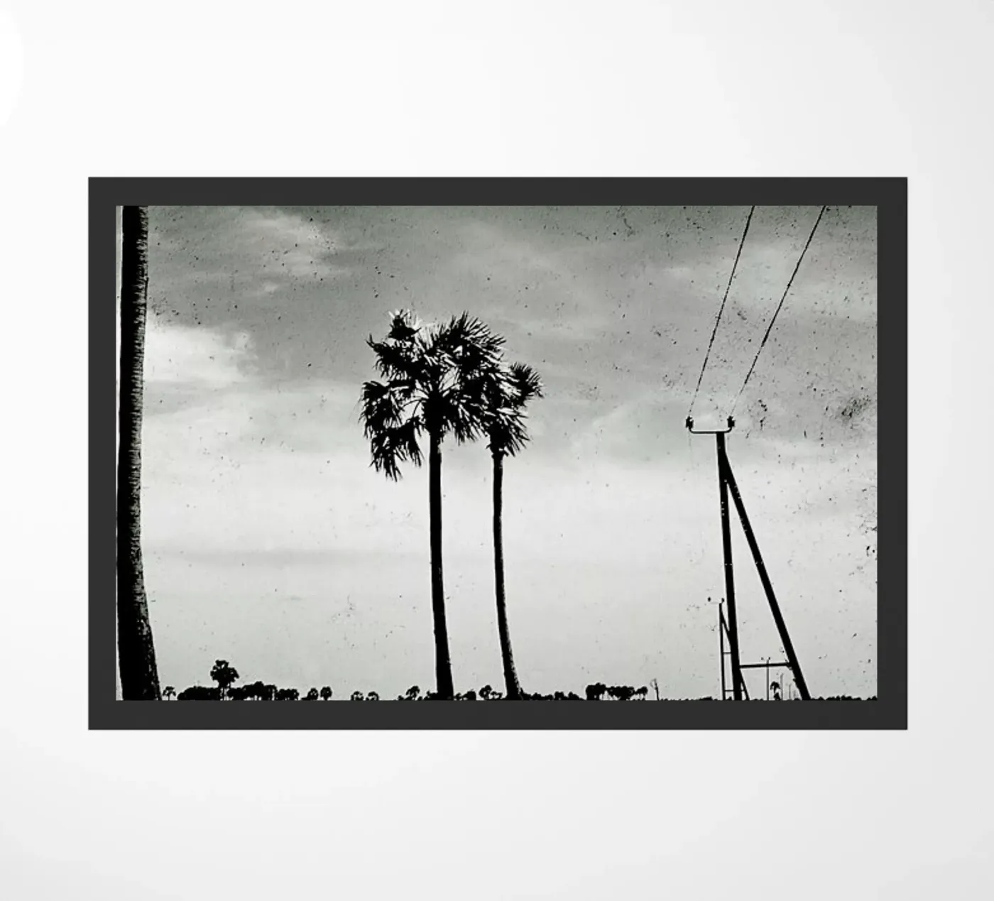 Far Away zerbino da Sophie Etchart