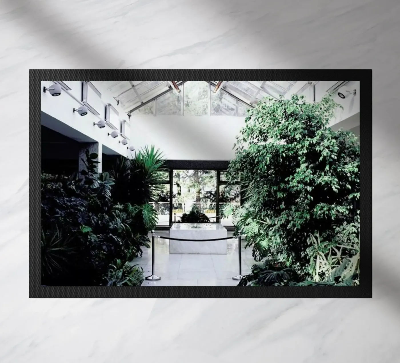 Belgrad zerbino da Picture On The Fridge