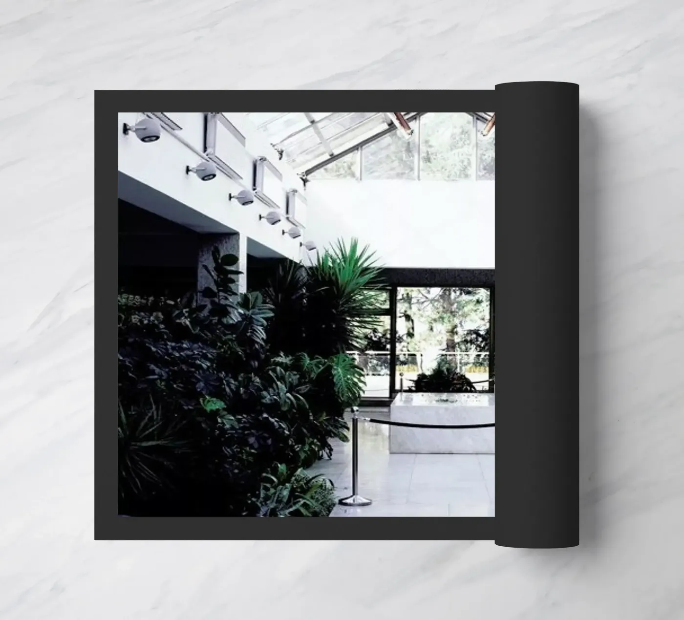 Belgrad zerbino da Picture On The Fridge