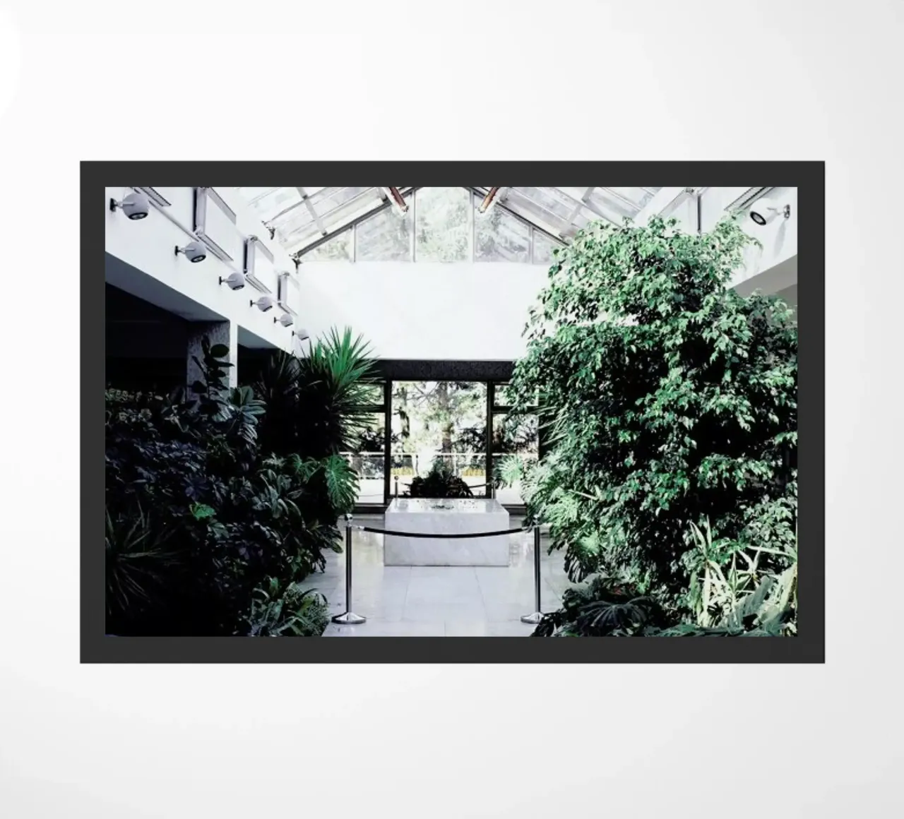 Belgrad zerbino da Picture On The Fridge