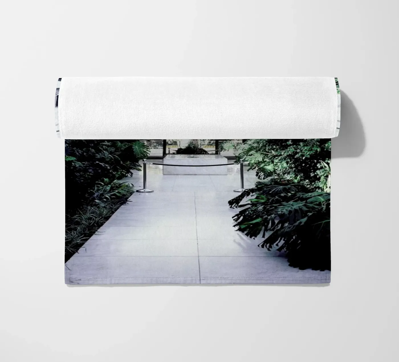 Belgrad telo mare da Picture On The Fridge