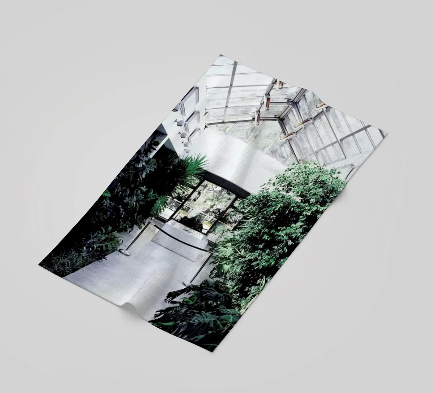 Belgrad telo mare da Picture On The Fridge