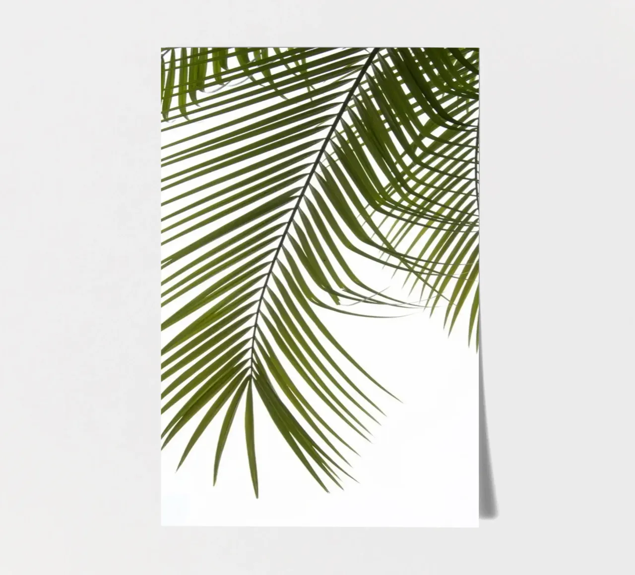Palm Foliage III sticker sheet by amini54