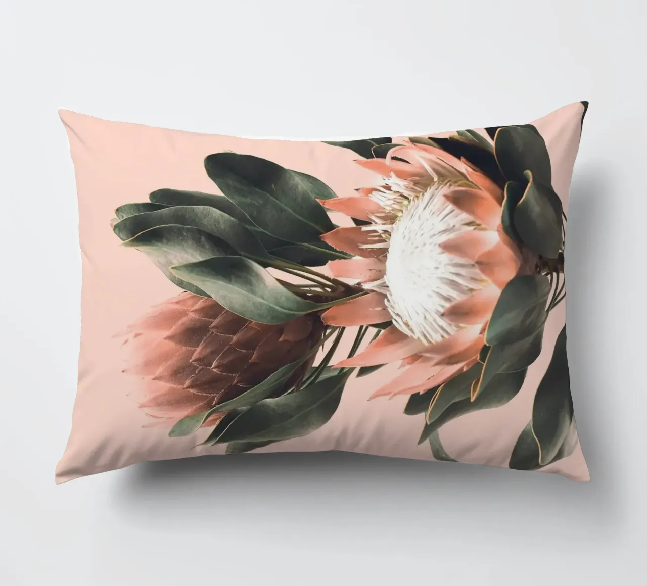 Fiori di protea - Foto design botanico cuscino da Whole©