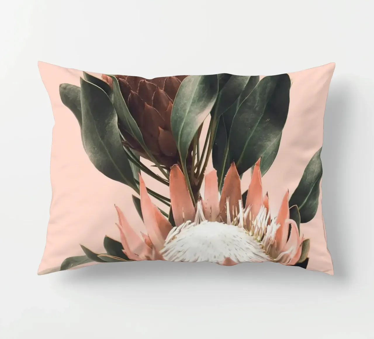 Fiori di protea - Foto design botanico cuscino da Whole©
