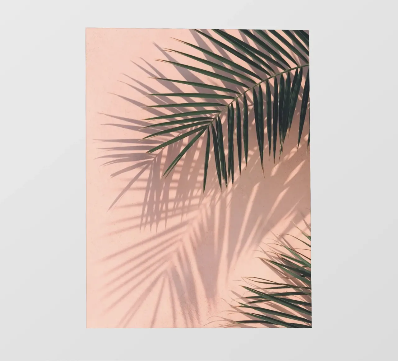 Palm Shadows - Design minimalista tropicale pellicola backlit da Whole©