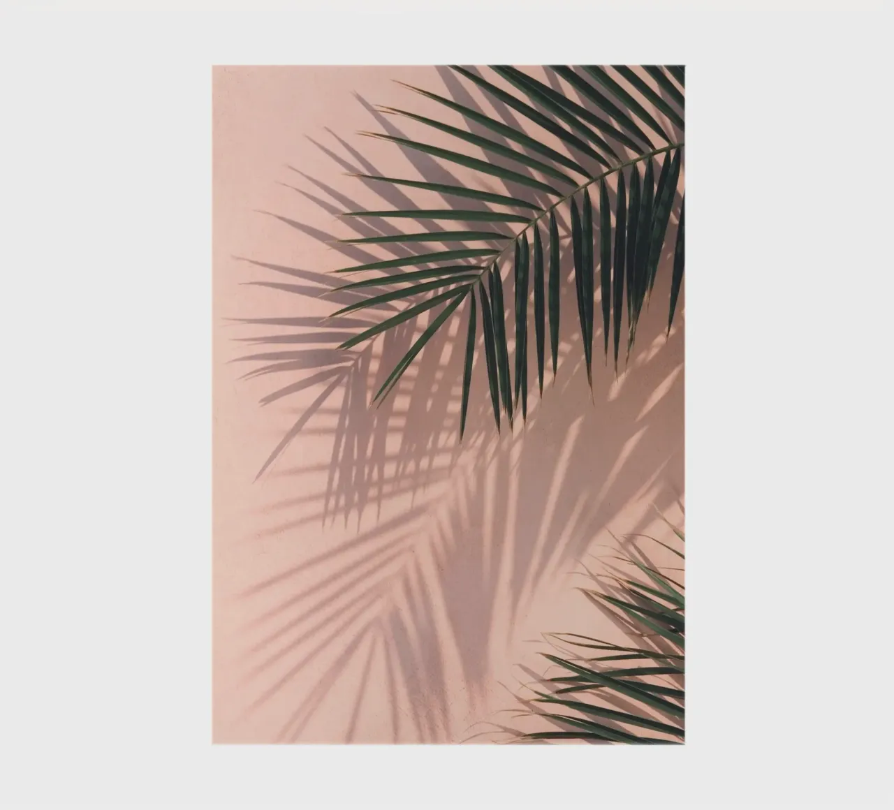 Palm Shadows - Design minimal tropical carnet de notes de Whole©