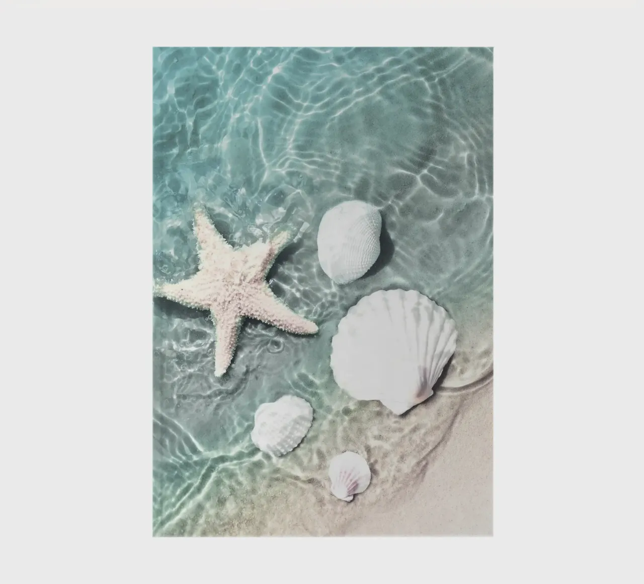 Shells and starfish - maritime summer design notebook by Whole©