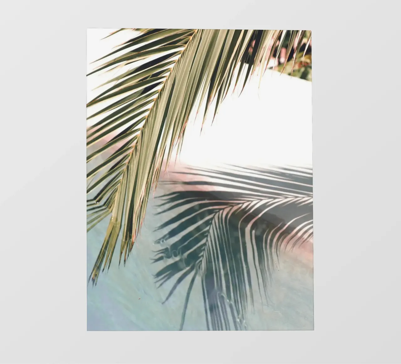 Palm shade play - Tropical elegance photo wallpaper by Whole©