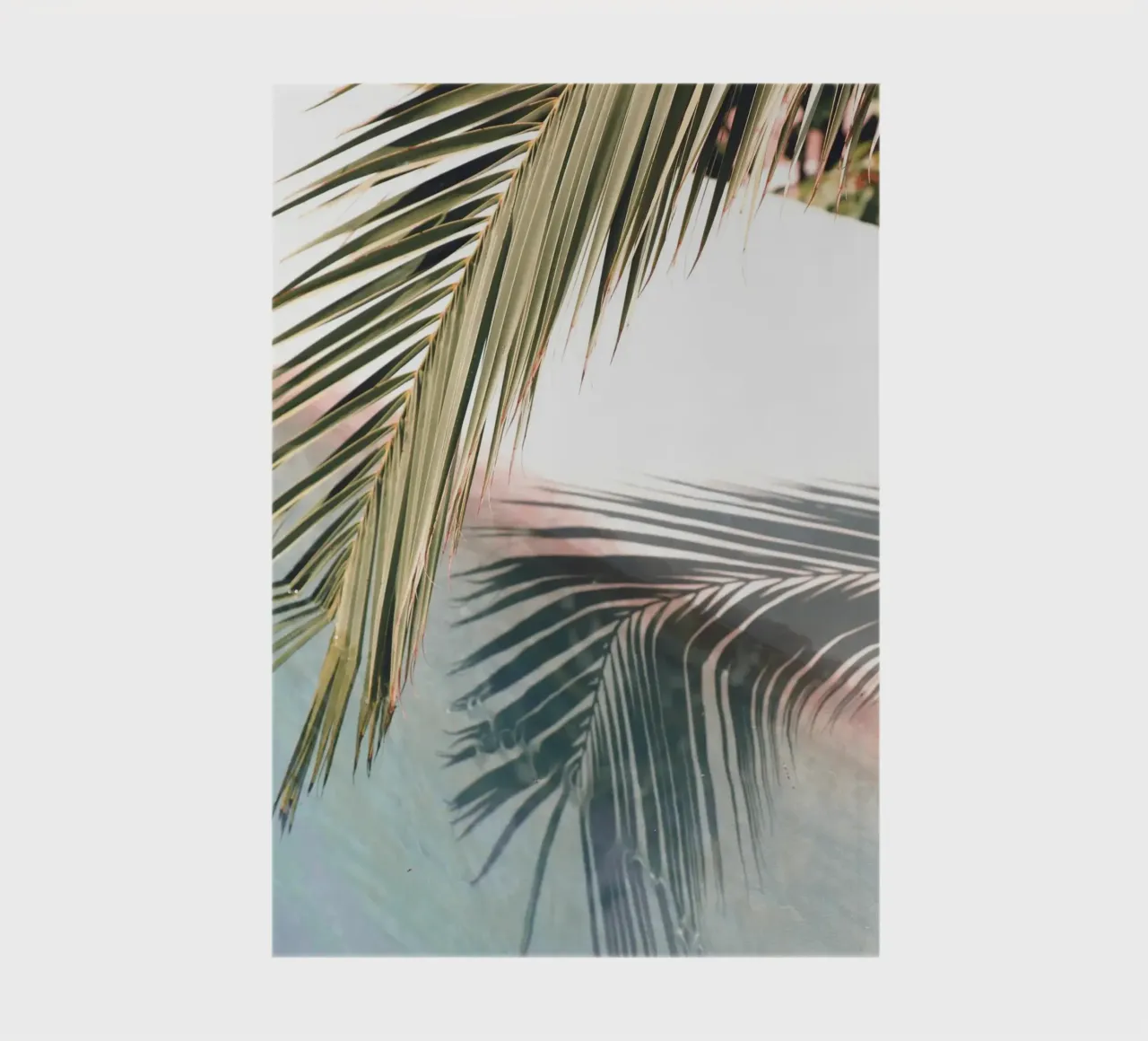 Juego de sombras de palmeras - Elegancia tropical cuaderno de Whole©