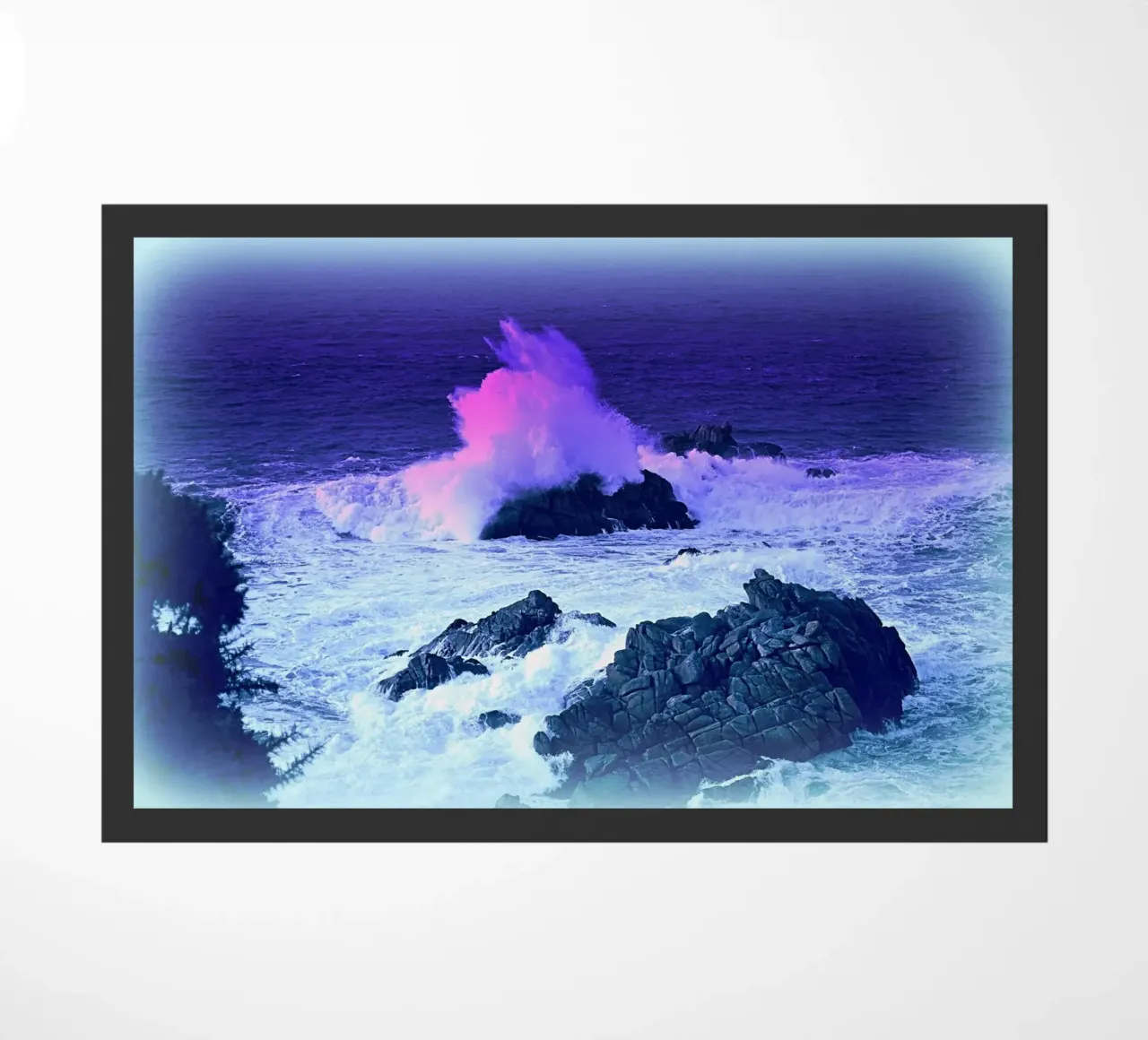 FAA76 zerbino da Thierry vobmann photography