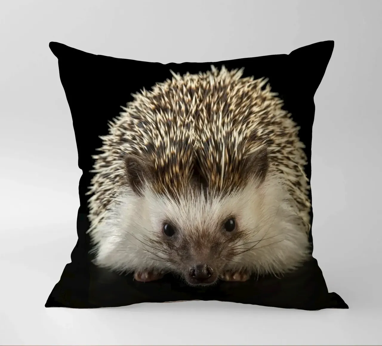 Riccio bianco/marrone cuscino da Curious Collections by Marielle Leenders