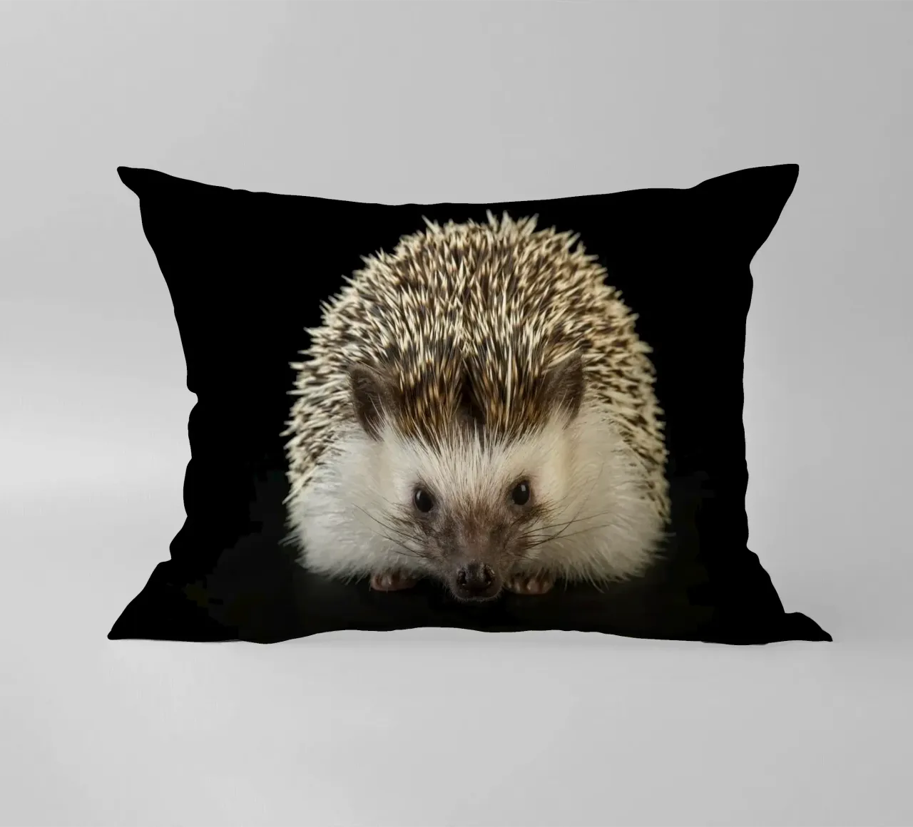 Riccio bianco/marrone cuscino da Curious Collections by Marielle Leenders