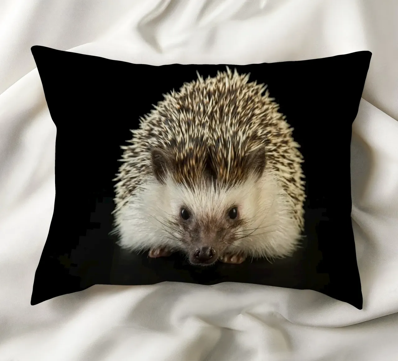 Riccio bianco/marrone cuscino da Curious Collections by Marielle Leenders