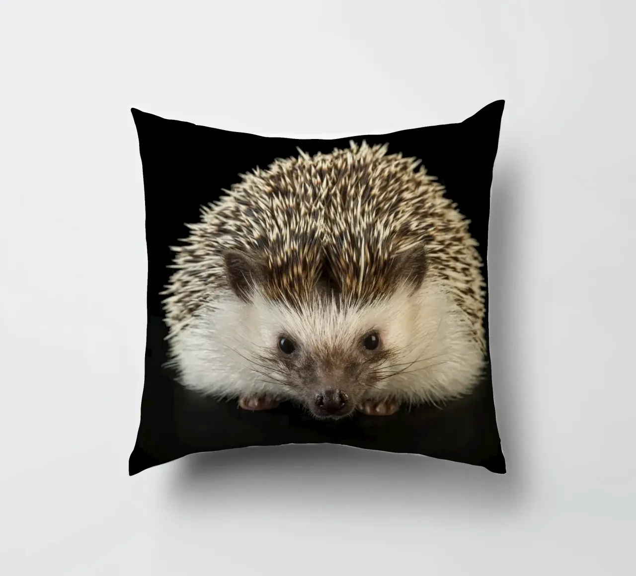 Riccio bianco/marrone cuscino da Curious Collections by Marielle Leenders
