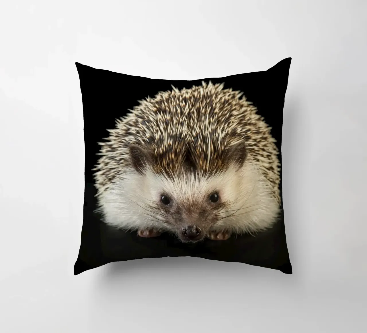 Riccio bianco/marrone cuscino da Curious Collections by Marielle Leenders