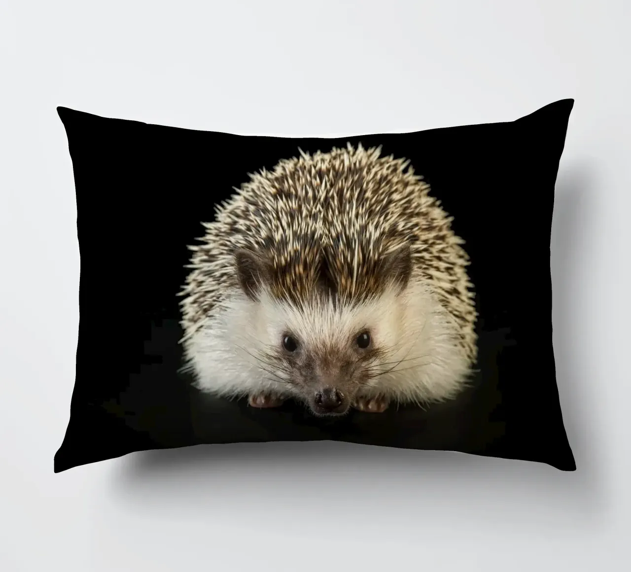 Riccio bianco/marrone cuscino da Curious Collections by Marielle Leenders