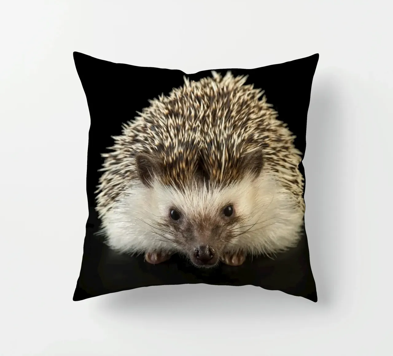 Riccio bianco/marrone cuscino da Curious Collections by Marielle Leenders