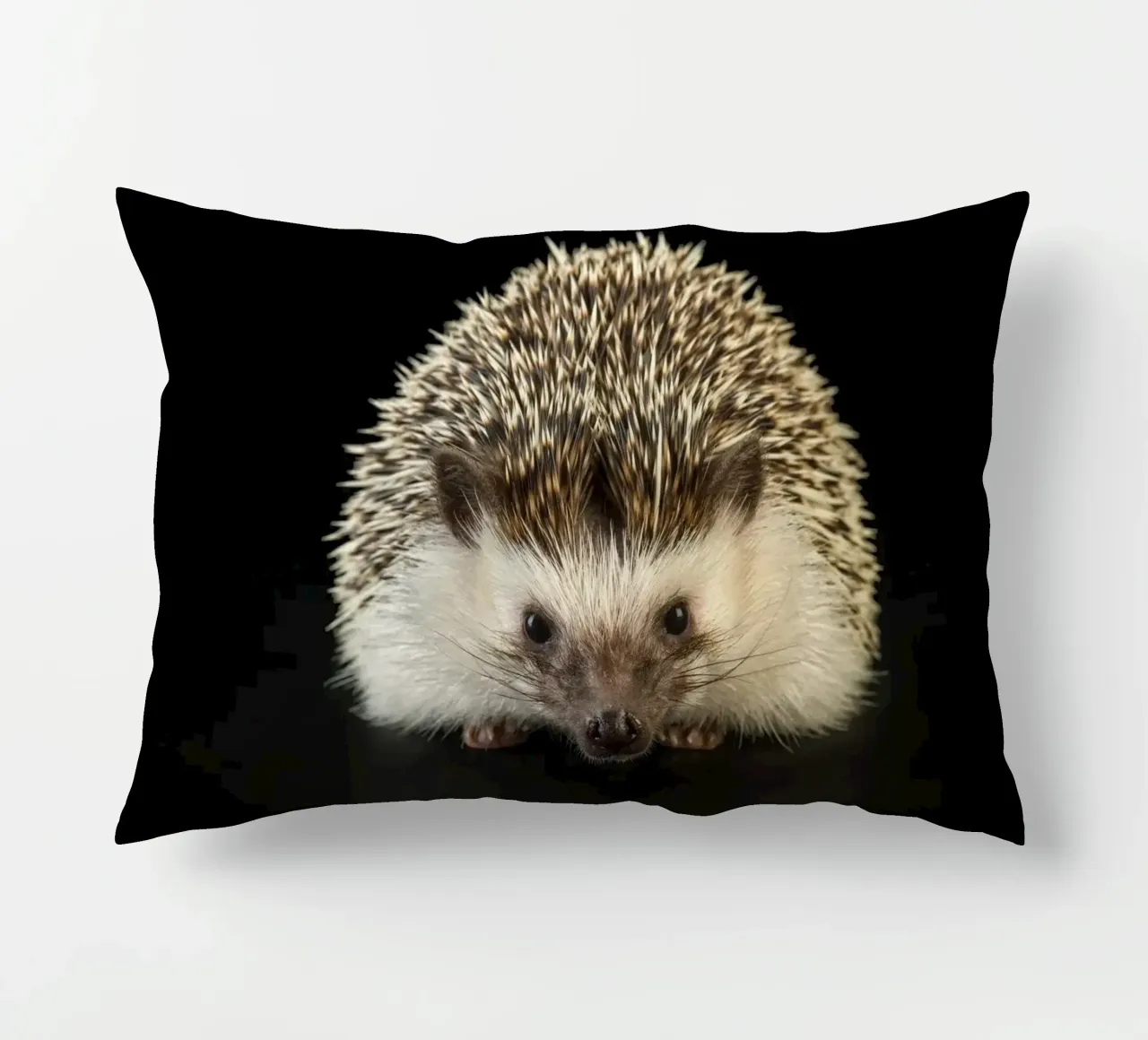 Riccio bianco/marrone cuscino da Curious Collections by Marielle Leenders
