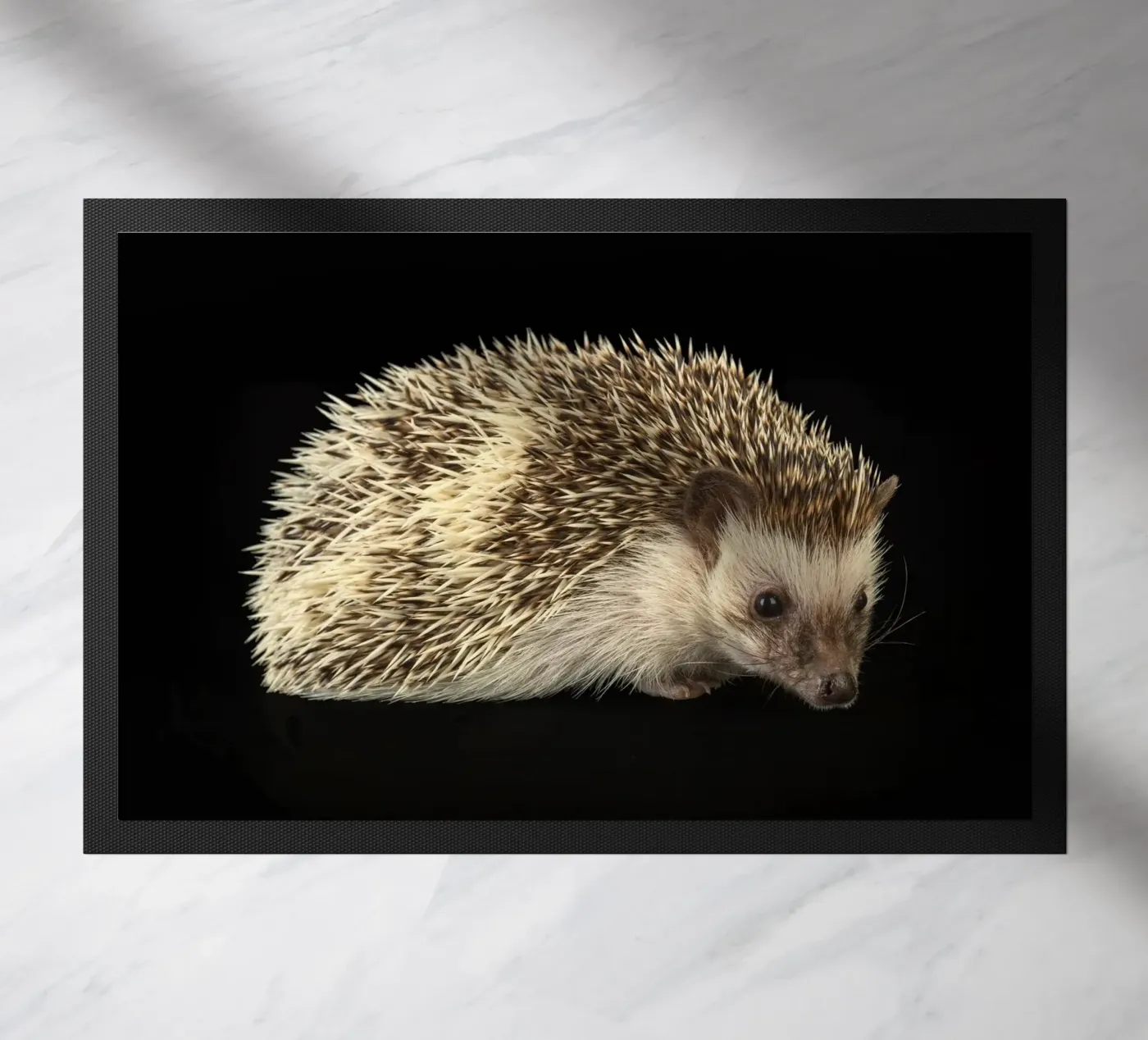White/brown Hedgehog zerbino da Curious Collections by Marielle Leenders