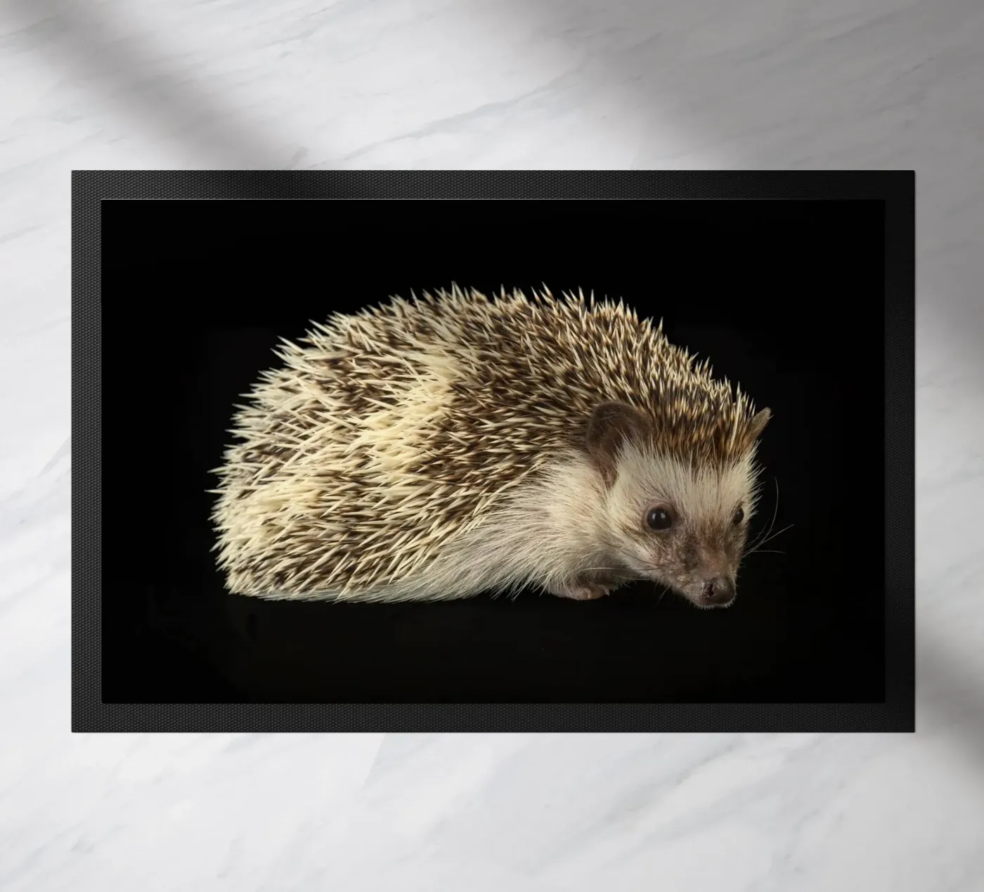 Weiß/brauner Igel Fußmatte von Curious Collections by Marielle Leenders