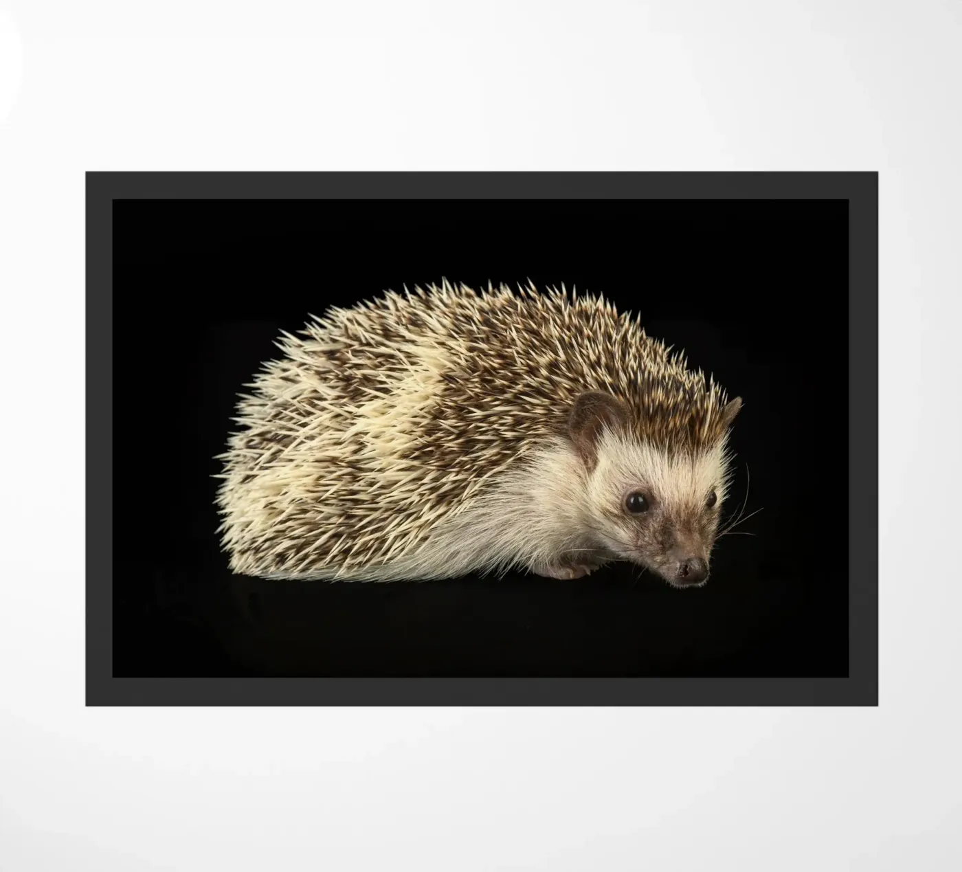 Weiß/brauner Igel Fußmatte von Curious Collections by Marielle Leenders