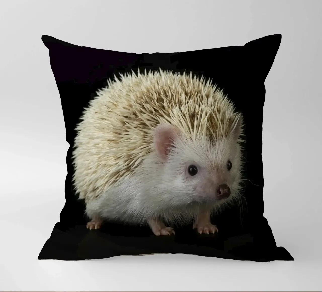 Riccio bianco cuscino da Curious Collections by Marielle Leenders