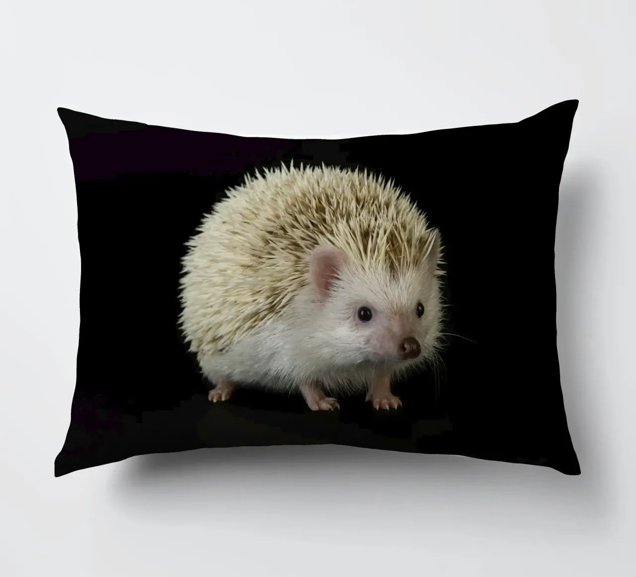 Riccio bianco cuscino da Curious Collections by Marielle Leenders