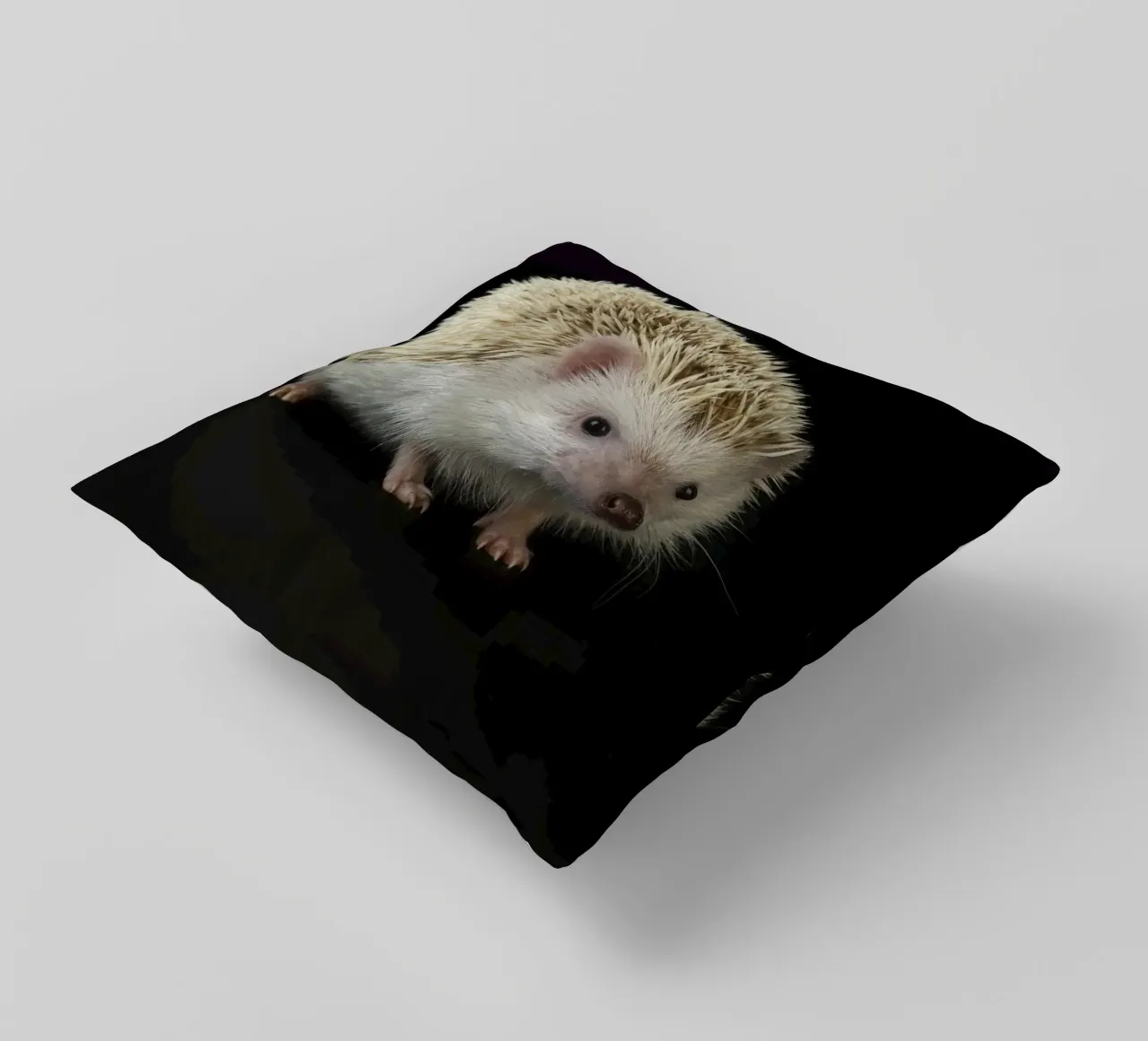 Riccio bianco cuscino da Curious Collections by Marielle Leenders