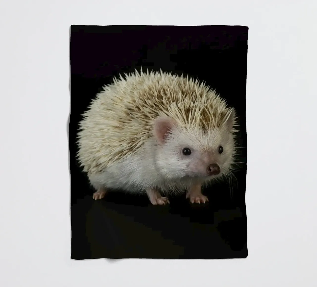 Riccio bianco coperta in pile da Curious Collections by Marielle Leenders