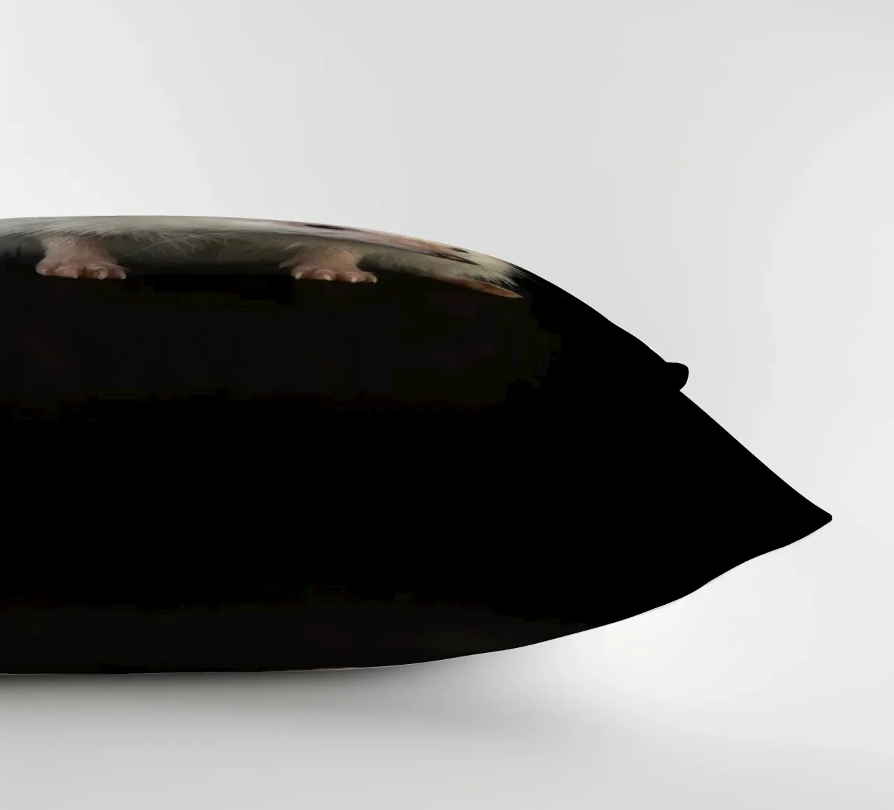 Riccio bianco cuscino da Curious Collections by Marielle Leenders