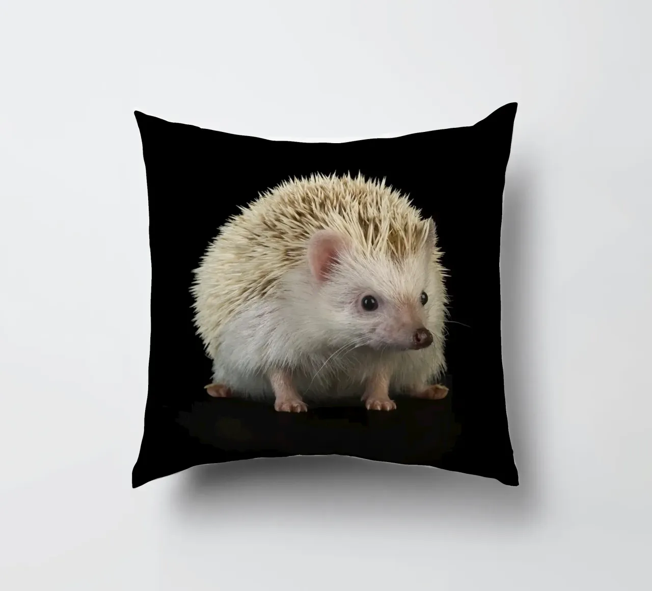 Riccio bianco cuscino da Curious Collections by Marielle Leenders
